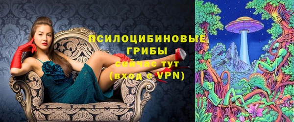 ALPHA PVP Сясьстрой