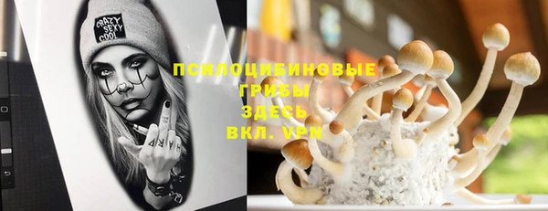spice Беломорск