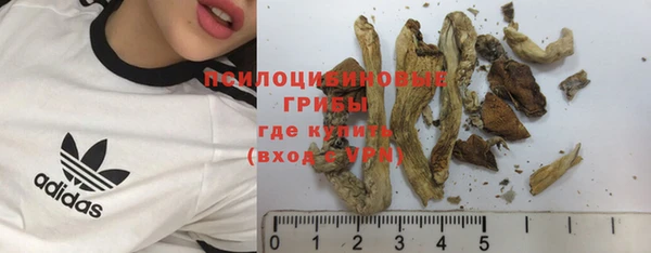 дживик Белокуриха