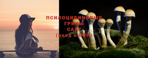 дживик Белокуриха