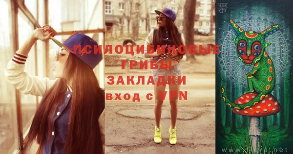 дживик Белокуриха