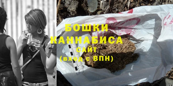 дживик Белокуриха