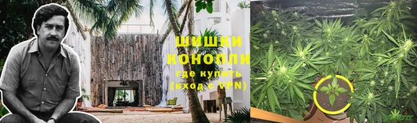 дживик Белокуриха