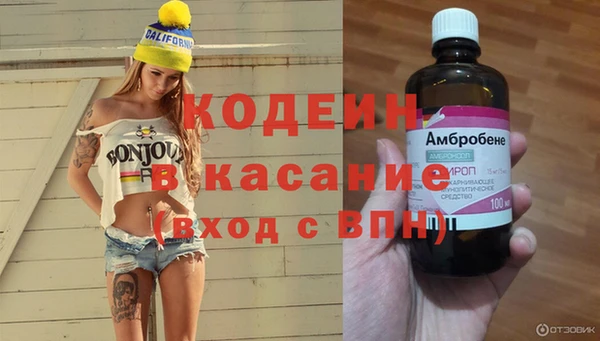 дживик Белокуриха